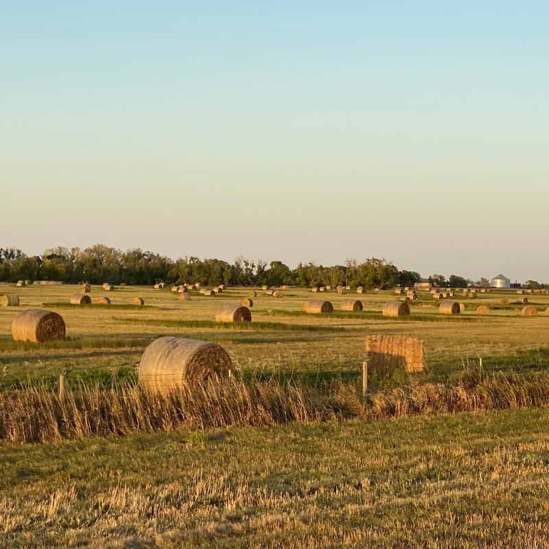 Dakota Prairie